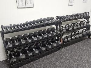 DUMBBELLS - RUBBER HEX
