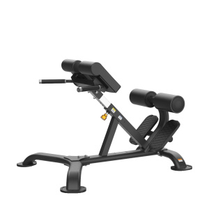 PRO 45-HYP Hyper Extension